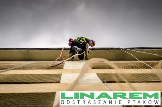 Montaż siatek na gołębie. Montaż siatek przeciw gołebiom.